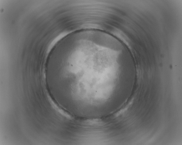 X0000076381133200610202033