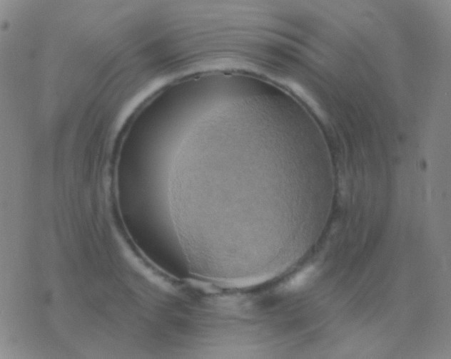 X0000076381134200610202033