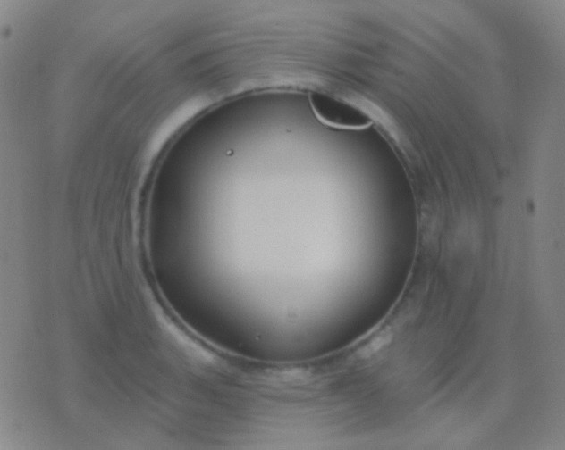 X0000076381135200610202033