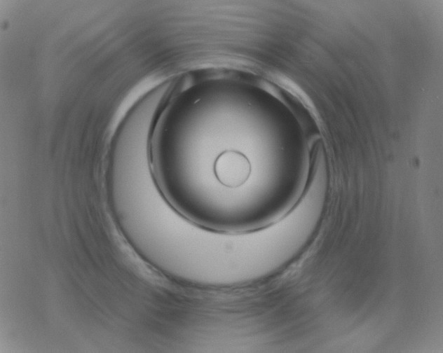 X0000076381138200610202033