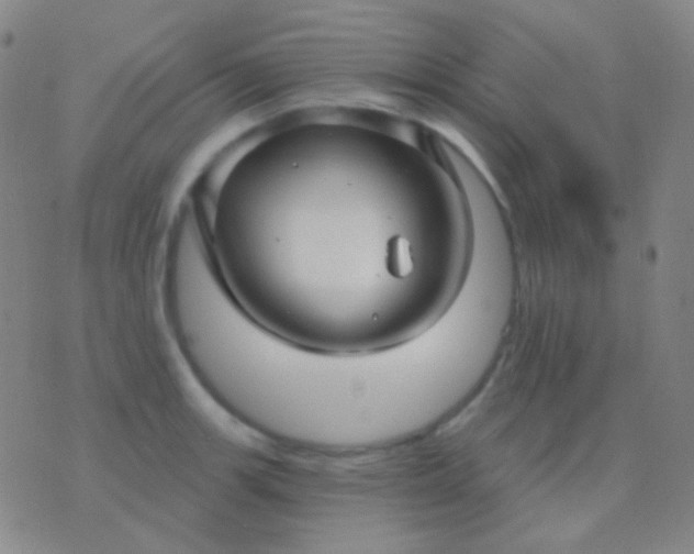 X0000076381139200610202033