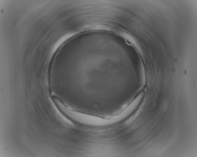 X0000076381141200610202033