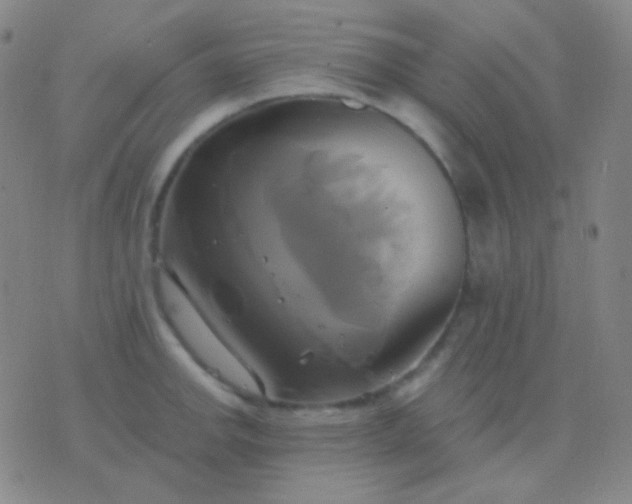 X0000076381142200610202033