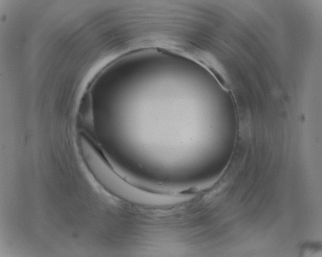 X0000076381144200610202033