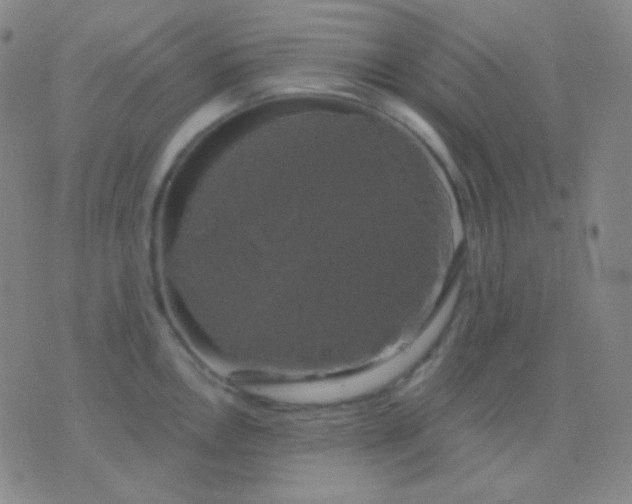 X0000076381146200610202033