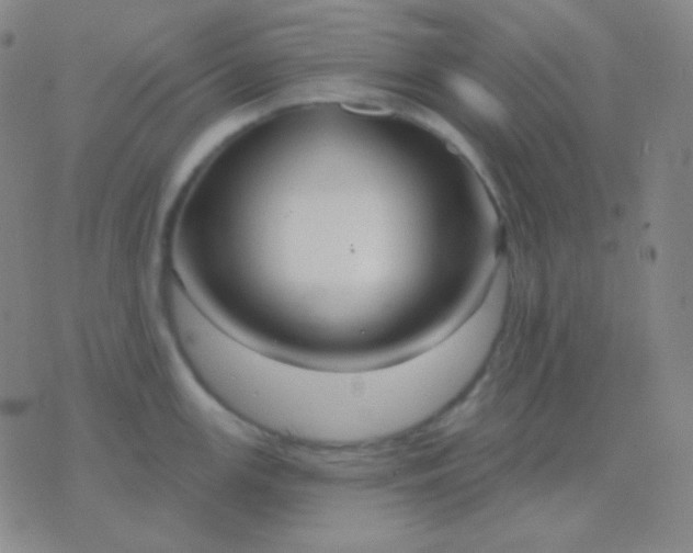 X0000076381147200610202033