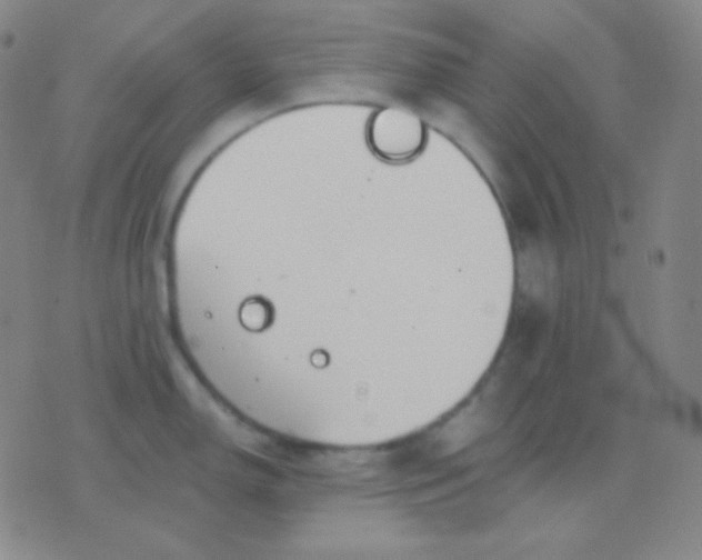 X0000076381150200610202033