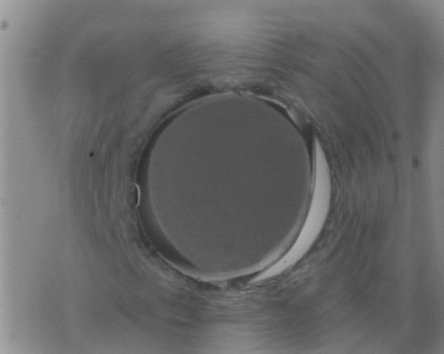 X0000076381153200610202032