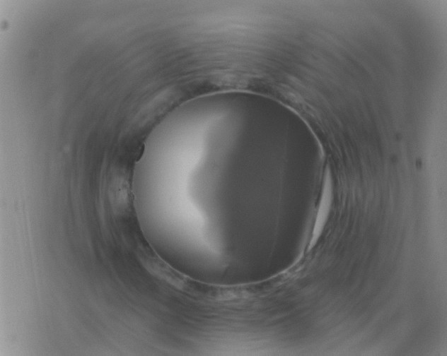 X0000076381154200610202032