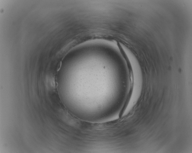 X0000076381155200610202032