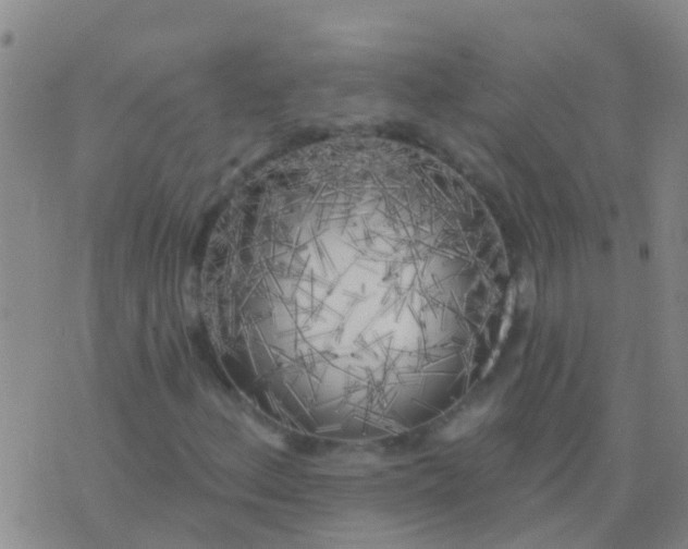 X0000076381156200610202032