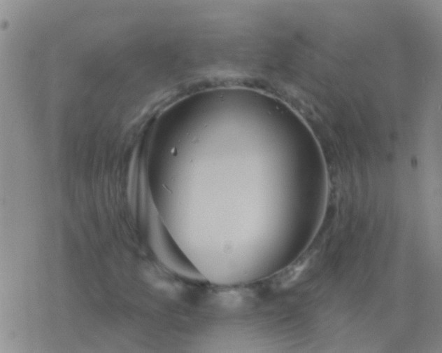 X0000076381157200610202032