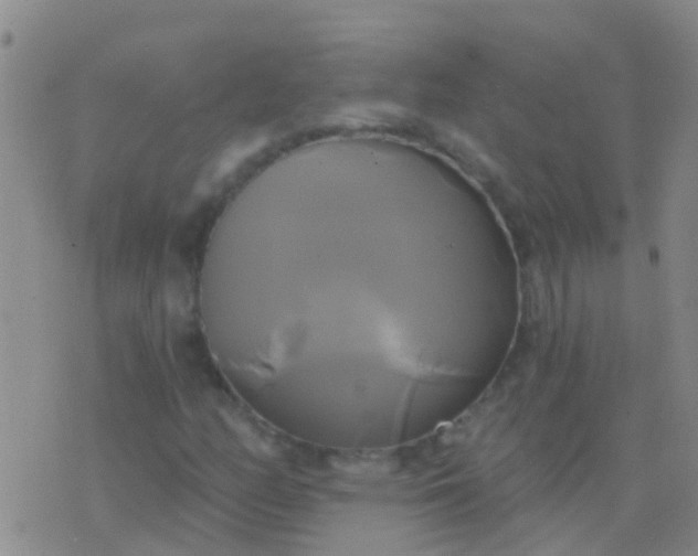 X0000076381158200610202032