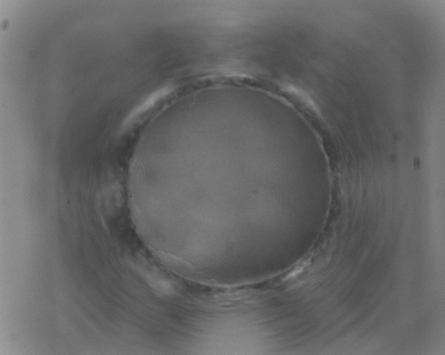 X0000076381159200610202032