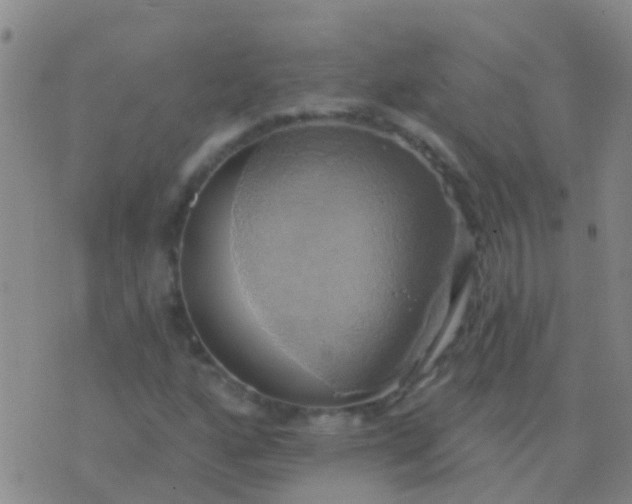 X0000076381160200610202032