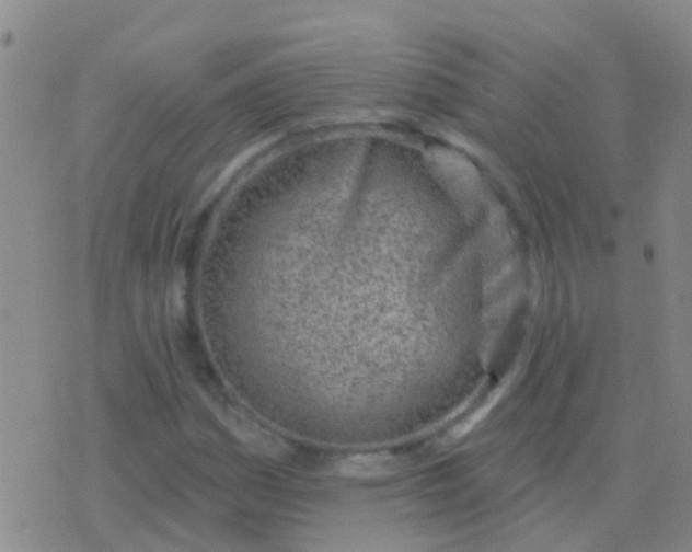 X0000076381161200610202032