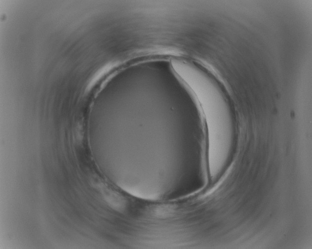 X0000076381163200610202032