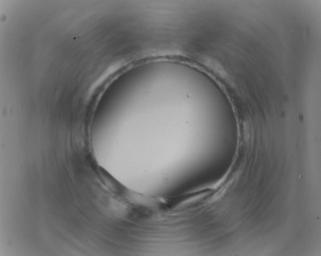 X0000076381165200610202032