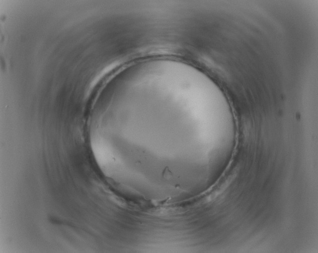 X0000076381166200610202032