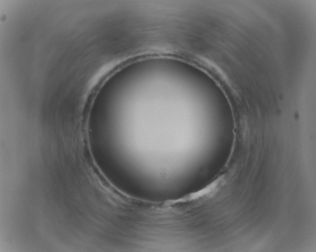 X0000076381168200610202032