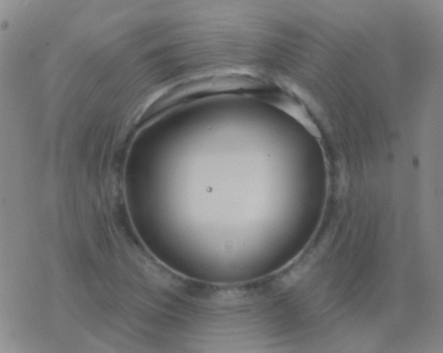 X0000076381169200610202032