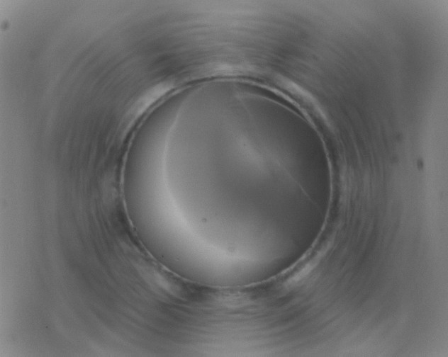 X0000076381170200610202032