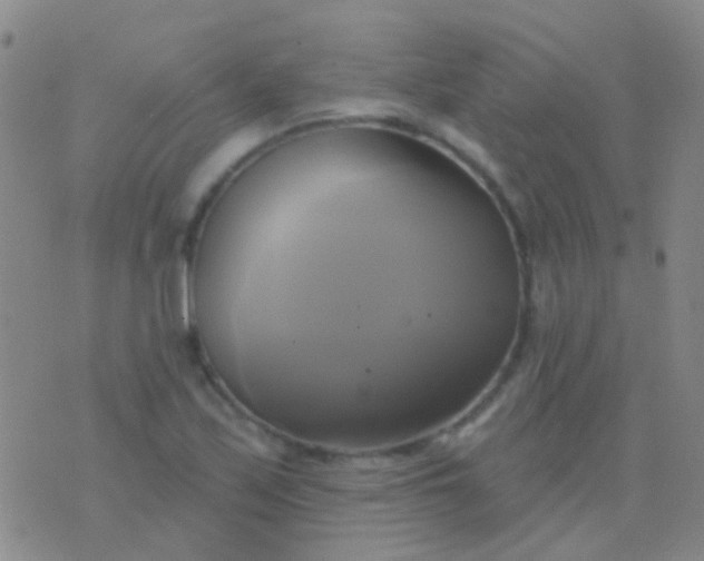 X0000076381171200610202032