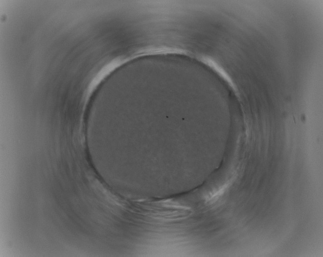 X0000076381173200610202032