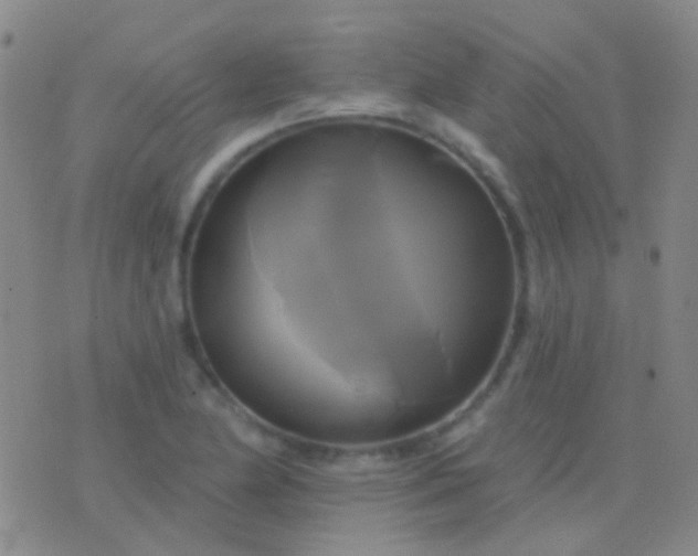 X0000076381174200610202032