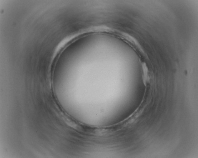 X0000076381176200610202032