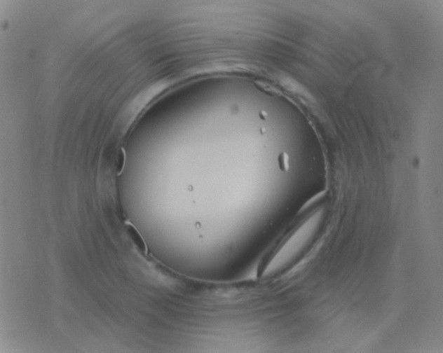 X0000076381177200610202032