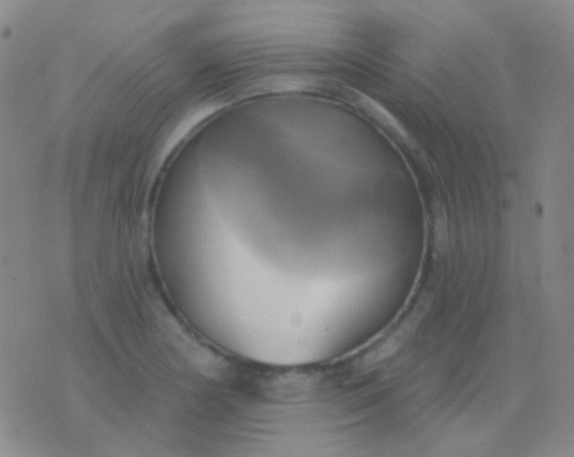 X0000076381178200610202032