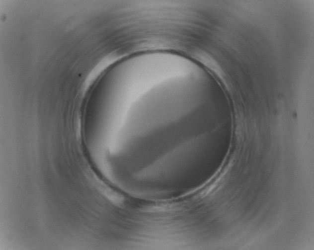 X0000076381179200610202032