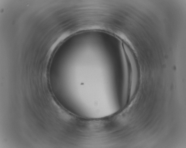 X0000076381181200610202032