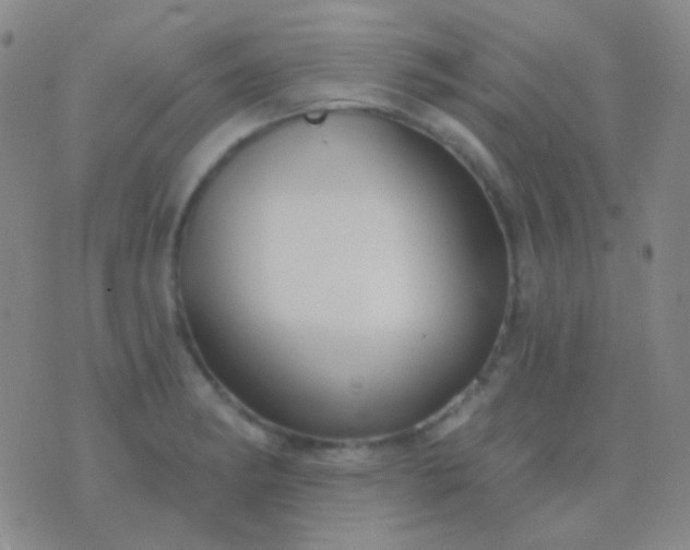 X0000076381182200610202032