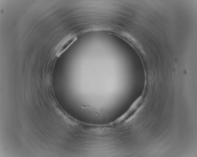 X0000076381185200610202032