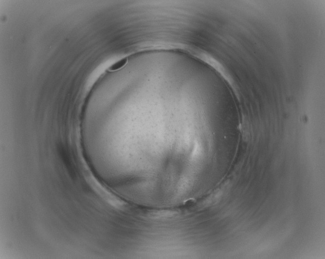 X0000076381187200610202032