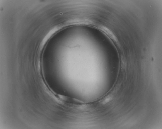 X0000076381188200610202032