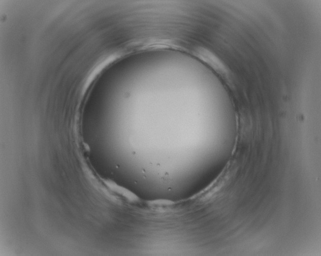 X0000076381190200610202031