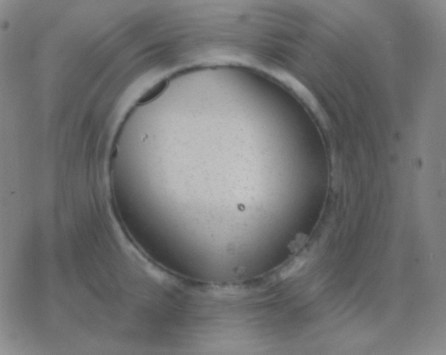 X0000076381191200610202031