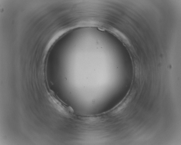 X0000076381192200610202031