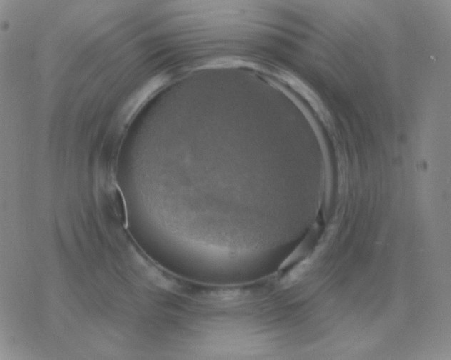 X0000076381193200610202031