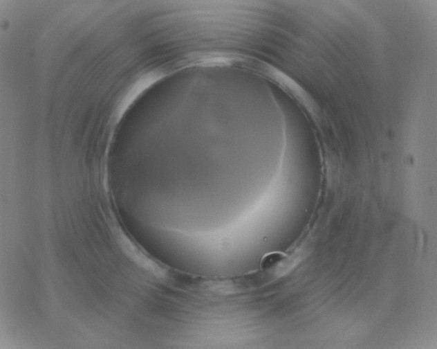 X0000076381194200610202031