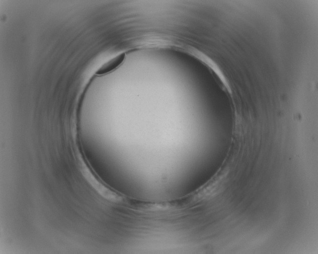 X0000076381195200610202031