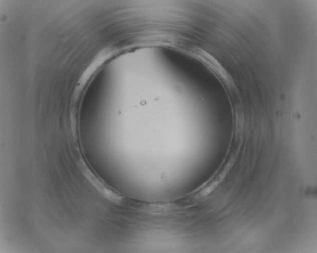 X0000076381196200610202031