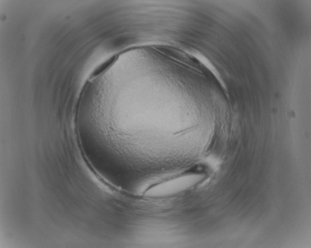 X0000076381197200610202031