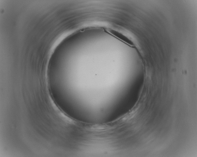 X0000076381199200610202031