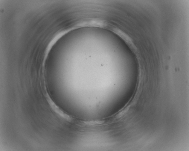 X0000076381200200610202031