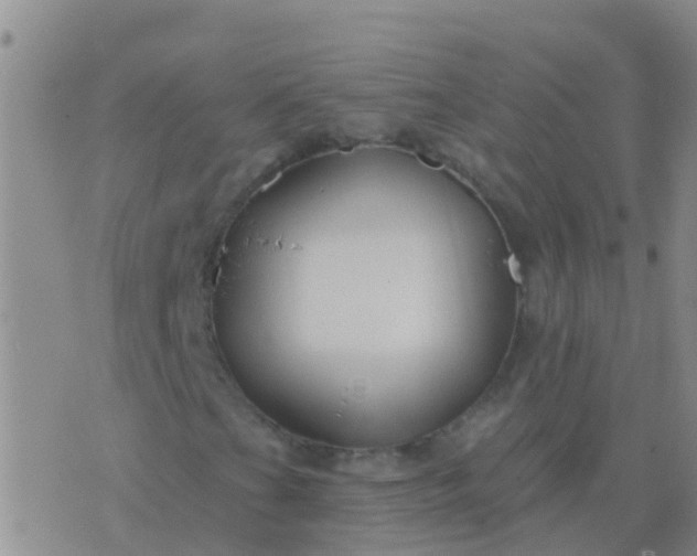 X0000076381201200610202031