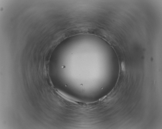 X0000076381203200610202031